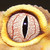 :icondracotrapnet: