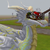 :icondracron81: