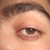 :icondraculaboy86: