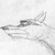 :icondracwolf17: