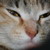 :icondradezar: