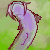 :icondrafishplz: