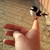 :icondraganche78: