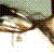 :icondragaonegroc0verdes: