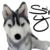 :icondraggycat: