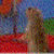 :icondragmon: