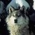 :icondrago235: