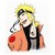 :icondragon-nadi: