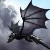 :iconDragon-Rider08: