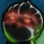 :icondragon-torn-6: