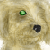 :icondragon2004keeper:
