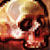 :iconDragon8000: