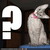 :icondragon914: