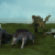 :icondragonart19below: