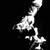 :icondragonballd: