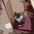 :icondragonblood1492: