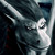 :icondragonborn91: