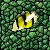 :icondragonchildren: