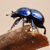 dragondemon53 :icondragondemon53: