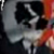 :icondragoner500:
