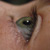 :icondragonessie: