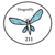 :icondragonfly211: