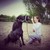 :icondragonfly91: