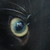 :iconDragonflyfaerie: