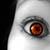 :icondragonflyflyaway: