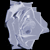 :icondragonflyjade: