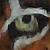 :icondragonflylegs: