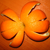 :icondragonflyro: