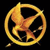 :icondragonflysoccer13: