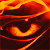 :icondragonfyre51: