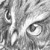 :icondragonfyredawn: