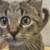 Dragongirl54 :icondragongirl54: