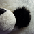 :icondragongreen: