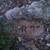 :icondragonis-7: