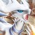 :icondragonitor:
