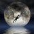 :icondragonkingofthemoon: