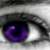 :icondragonkitten: