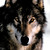 :icondragonknightjosh: