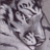 :icondragonlord-gali: