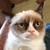 :icondragonloverandcats:
