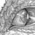 :icondragonmoxy: