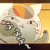:icondragonnarushio: