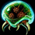 :icondragonofthewestiroh: