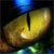:icondragonpheonix:
