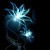 :icondragonphoenixflower: