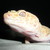 :icondragonraindesigns: